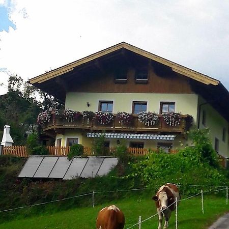 Landhaus Katharina Bischofshofen Exterior foto