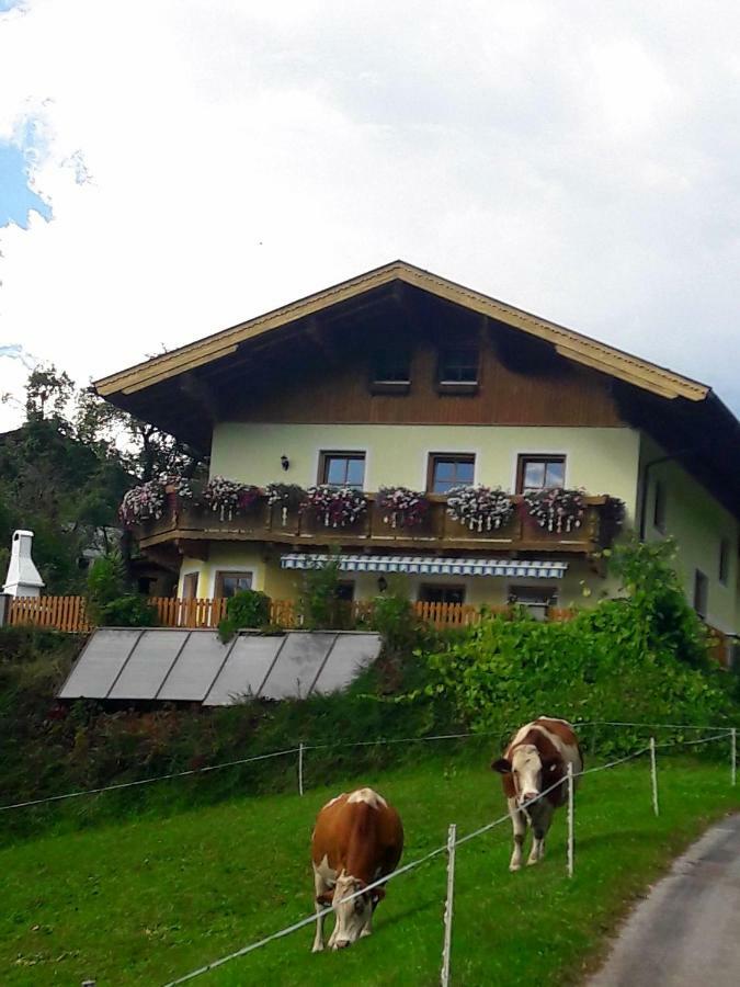 Landhaus Katharina Bischofshofen Exterior foto