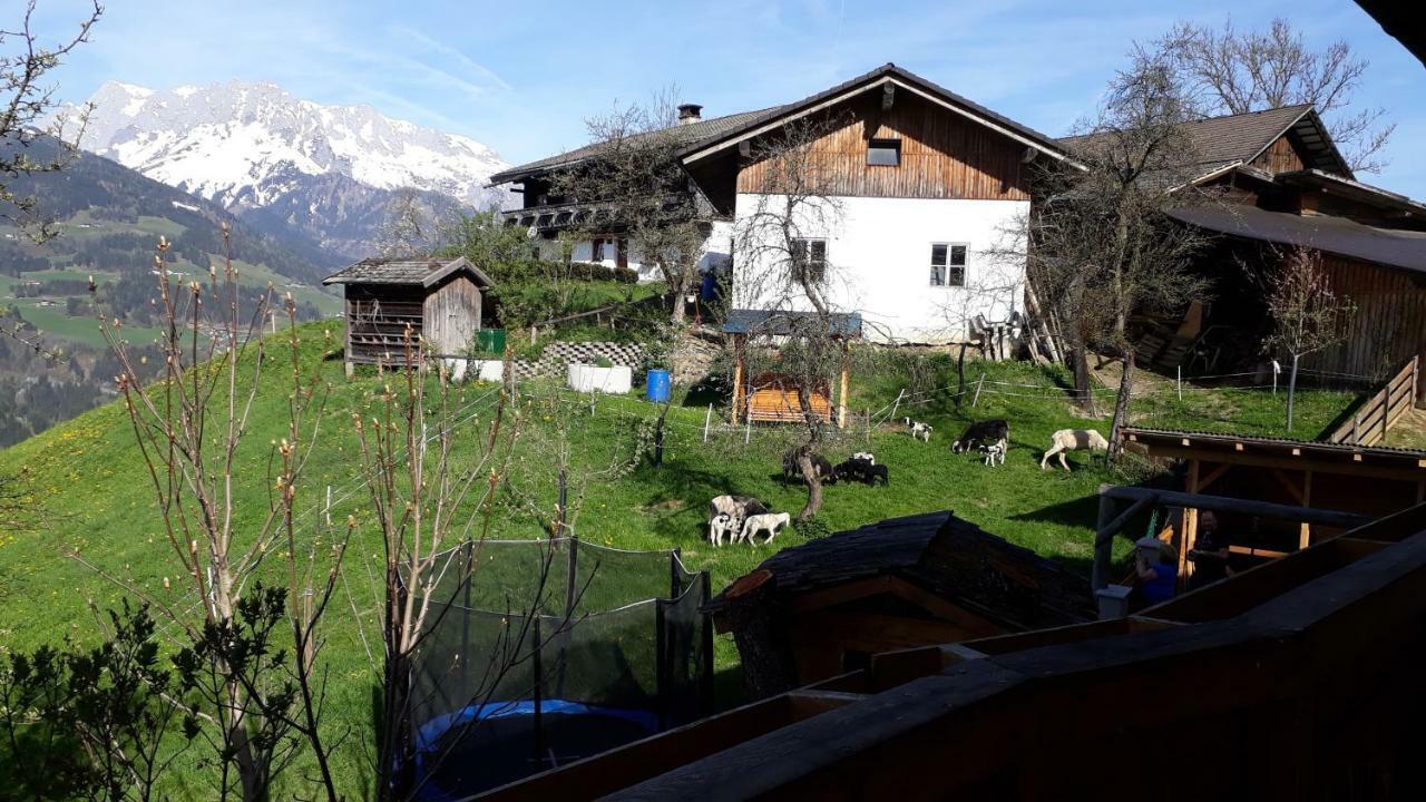 Landhaus Katharina Bischofshofen Exterior foto