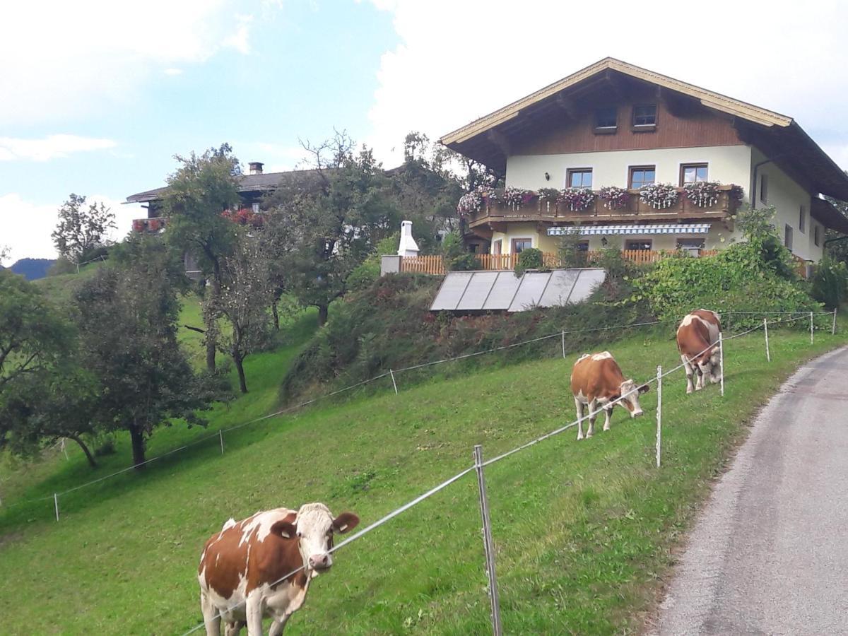 Landhaus Katharina Bischofshofen Exterior foto