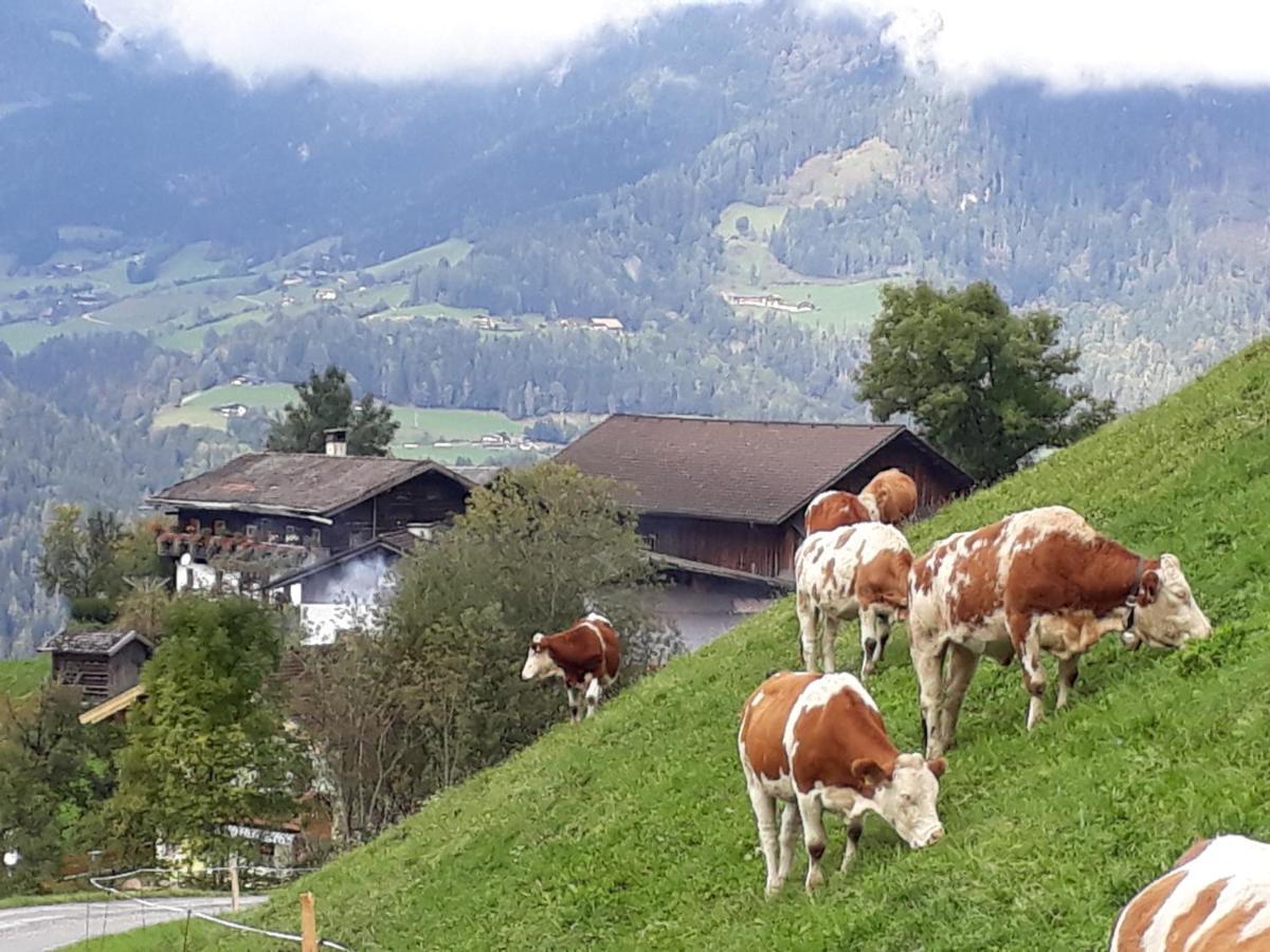Landhaus Katharina Bischofshofen Exterior foto